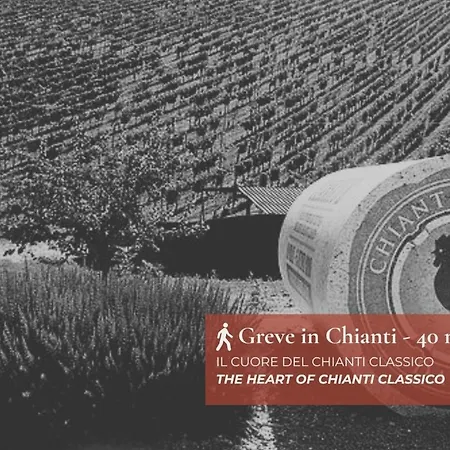 Your Authentic Experience Apartment *